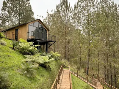 a house on top of a hill with a wooden walkway at Cabin - Jacuzzi - Frente al lago - Bosque in La Pradera