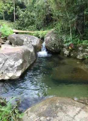 a stream of water with rocks in a forest at Refugio en el arroyo in San Carlos
