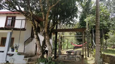a patio with a tree and a hammock and a house at Refugio en el arroyo in San Carlos