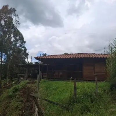 Cabaña los eucaliptos