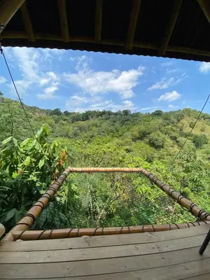 a suspended bridge with a view of a forest at Glamping Falan Tolima in Falan