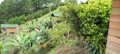 a garden with plants and a house on a hill at Entre Colinas Lodge in El Peñol