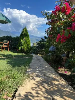a garden path with flowers and a bench on the side at Titiribi-Antioquia- Cabaña el sol in Titiribí