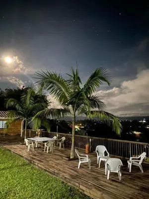 a wooden deck with chairs and a table and a palm tree at Cabaña de cuento in Horizonte