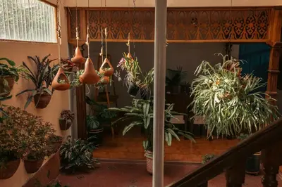 a room filled with lots of potted plants at Hotel Casa Encanto Jardín in Jardin