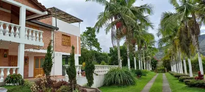 a row of palm trees next to a house at Finca Villla las Palmas in Chiquinquirá