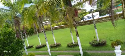 a group of palm trees in a park at Finca Villla las Palmas in Chiquinquirá