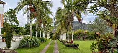 a row of palm trees in a garden with a mountain in the background at Finca Villla las Palmas in Chiquinquirá