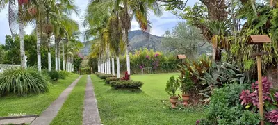 a garden with palm trees and a mountain in the background at Finca Villla las Palmas in Chiquinquirá