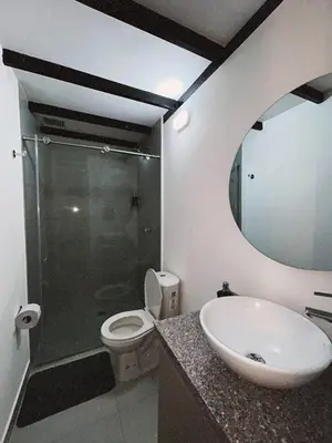 a bathroom with a toilet and a sink and a mirror at Lujoso, relajante y Cómodo Apartaestudio en La Rambla in Manizales
