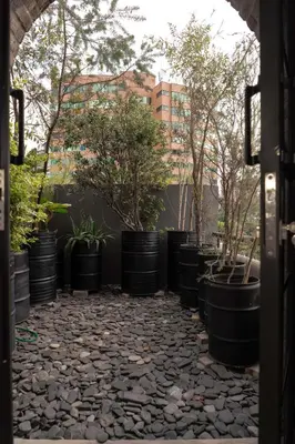 a row of black barrels with trees in them at Vive Pisoverde - a Loft with a green soul in Medellín