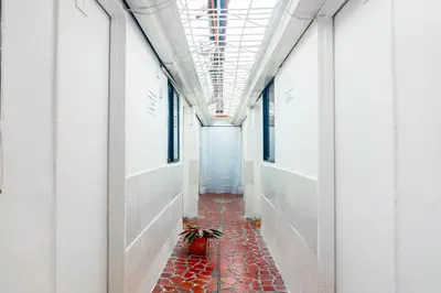 a hallway with a potted plant in a building at Hotel Familiar in Medellín