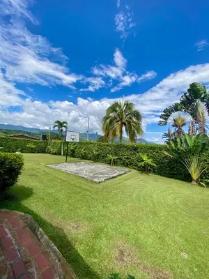 a park with palm trees and a basketball hoop at Finca Villa Juan Pablo in Anserma