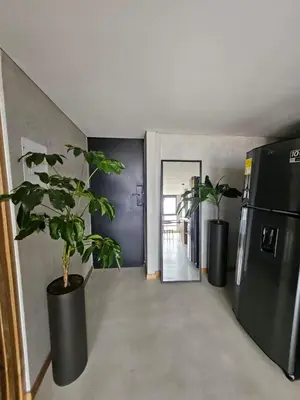 a hallway with two potted plants and a refrigerator at 2406 Luxurious apartment with jacuzzi in Sabaneta