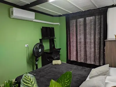 a green bedroom with a bed and a fan at Aptos en la naturaleza in Medellín