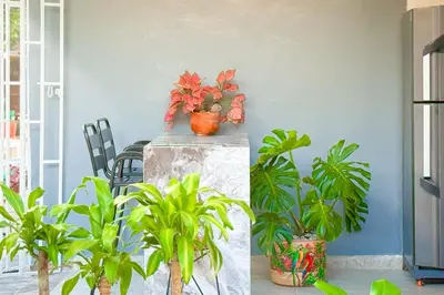 a room with potted plants on top of a table at Casa Bella in Honda