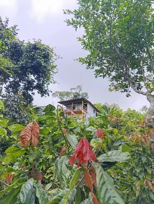 Gallery image of La cabaña - Finca los Martinez in Támesis