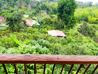 Gallery image of La cabaña - Finca los Martinez in Támesis