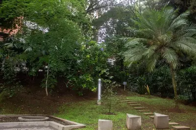 a garden with a fountain and a palm tree at Apartment near Provence pool, gym, views and WiFi in Medellín