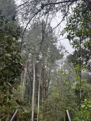 Gallery image of Cielito Verde Glamping in Santa Elena