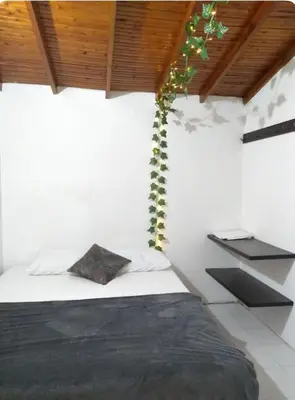 a bedroom with a bed with a plant on the ceiling at Acogedora Habitación Privada - Belén Rosales Laureles in Medellín