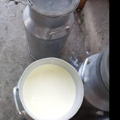 a bucket of milk sitting next to two metal buckets at Hostal Las Hamacas,Habitación #5 in Villamaría