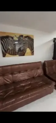 two zebras on a wall above a leather couch at CÓMODO APARTAMENTO CERCA De TODO EN ENVIGADO in Envigado