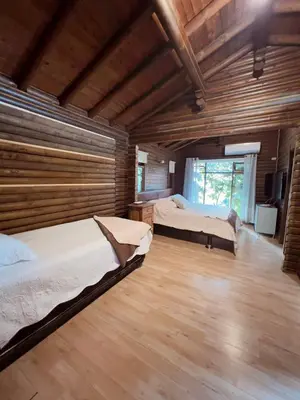 two beds in a room with wooden walls at Cozy villa near El Poblado in Envigado