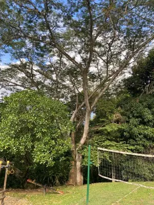 a soccer goal in front of a tree at Apartasol En San Jeronimo in San Jerónimo