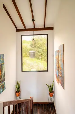 a window in a room with two plants at Nature Retreat Views, Grill, Jacuzzi & Glamping in Guarne