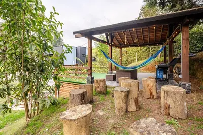 a group of tree stumps with a hammock at Nature Retreat Views, Grill, Jacuzzi & Glamping in Guarne
