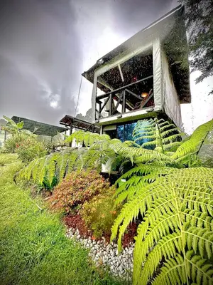 a building with green plants in front of it at Cabaña Blanca Cielo Abierto in Guarne