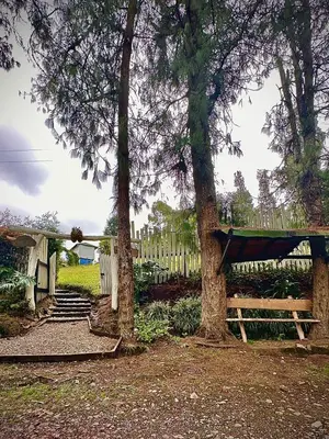 a wooden bench next to two trees and a fence at Cabaña Blanca Cielo Abierto in Guarne