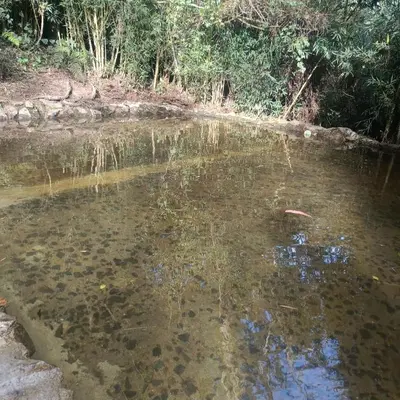 a body of water with some rocks and trees at Cabaña en el Lago Cerca MetroCable ARVI in Guarne