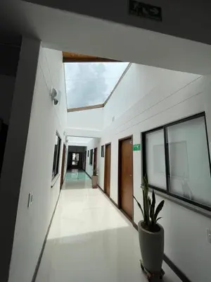 a hallway with a skylight and a potted plant at Casa Hotel Spa Carolina in Carolina del Principe