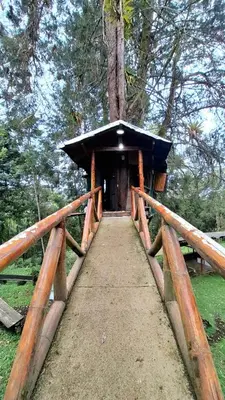 a wooden bridge leading to a tree house at Refugio en el Árbol in Guarne