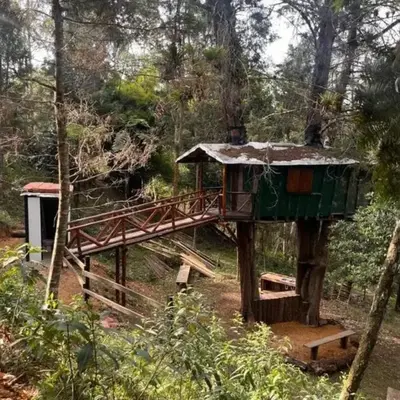 Refugio en el Árbol