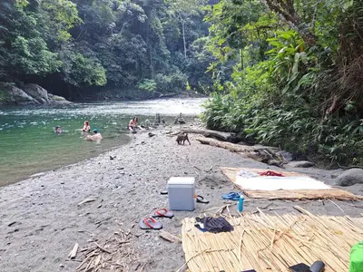a group of people in the water on a beach at Casa Borojó, Refugio Natural Jacaranda in Cocorná