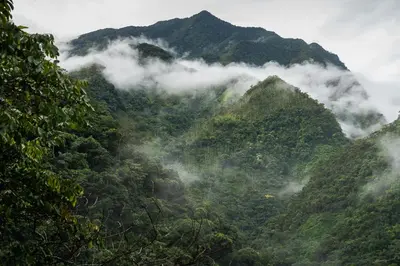 a mountain covered in mist and clouds in the mountains at Casa Borojó, Refugio Natural Jacaranda in Cocorná