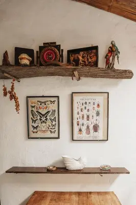 a shelf with pictures and pictures on a wall at Casa blanca, Refugio Natural Jacaranda in Cocorná