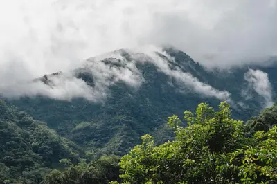 a mountain covered in mist and clouds with trees at Casa blanca, Refugio Natural Jacaranda in Cocorná