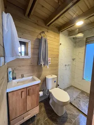 a bathroom with a toilet and a sink and a shower at Hermoso chalet en marinilla in Marinilla