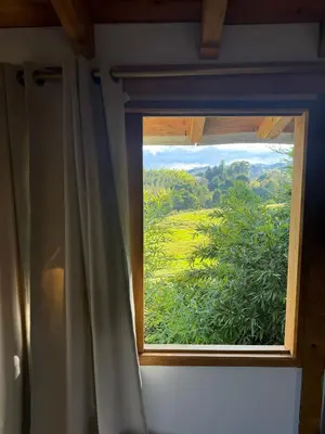 Gallery image of Cabaña del bosque in Rionegro