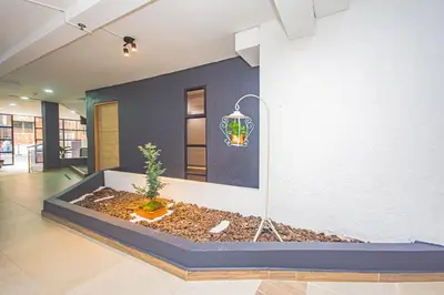 a room with a potted plant and a light on a wall at Novus Laureles in Medellín