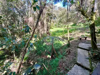a wooden path in a forest with trees and grass at Forest Cabin Nature Retreat in Rionegro