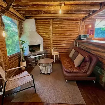 Forest Cabin Nature Retreat
