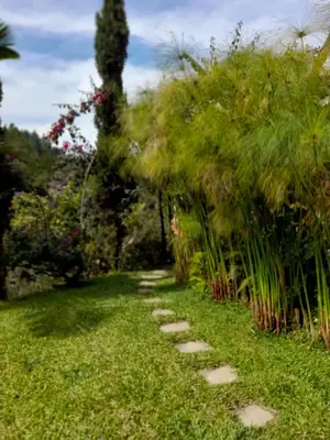 a path through a garden with trees and grass at Finca Doña Eloísa in Guatapé