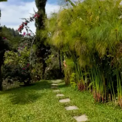 Finca Doña Eloísa