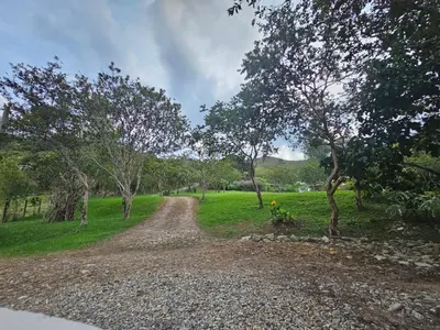 a dirt road in a field with trees at Don tranquilo in Concepción