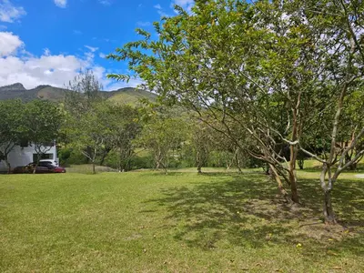 a tree in a field with a house and mountains in the background at Don tranquilo in Concepción